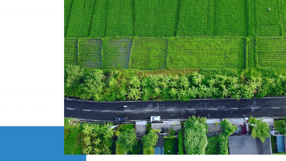 LPEFD XXX – 09092022_001